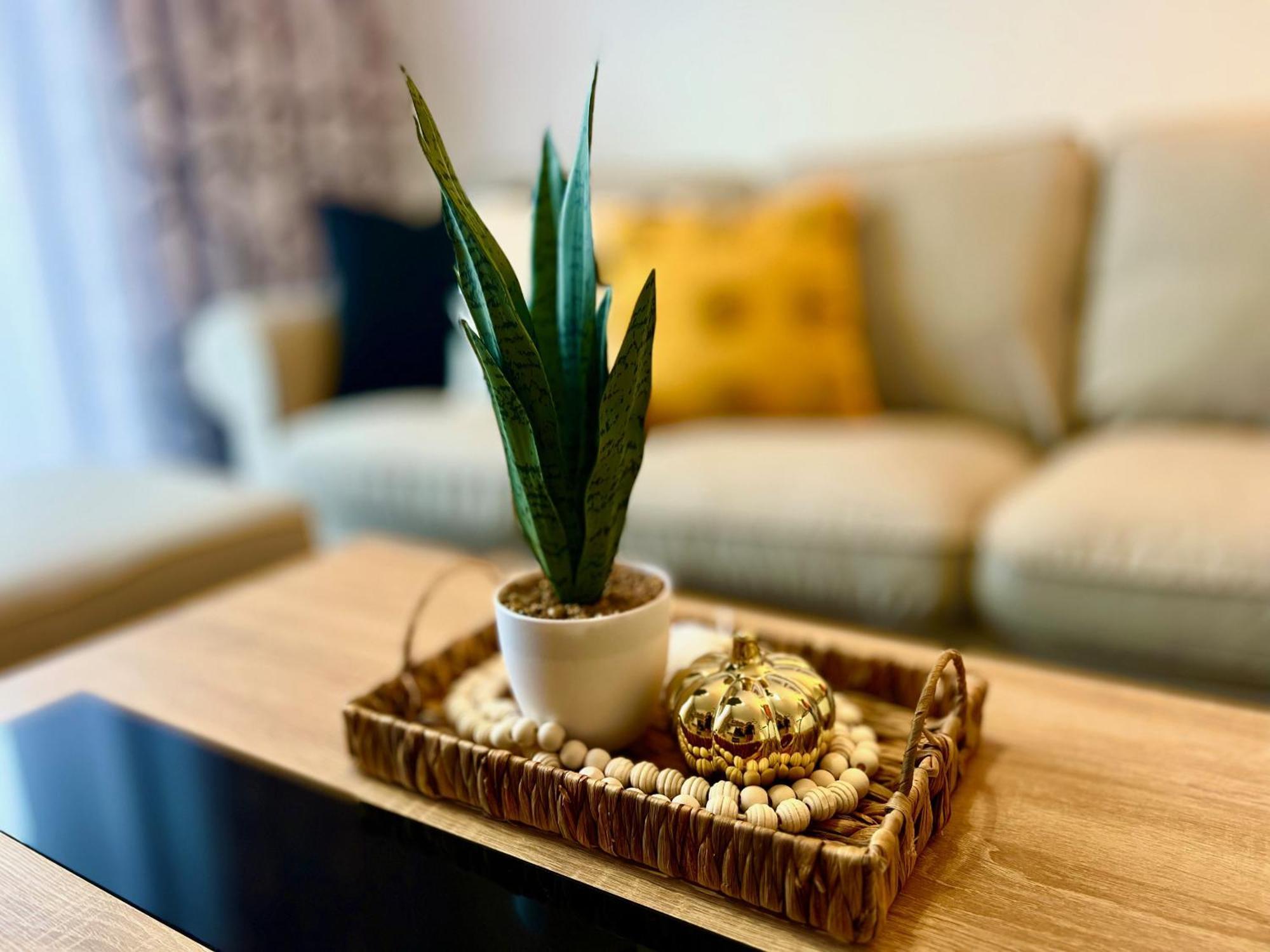 Casilla Bubo Apartman Costa De Antigua Kültér fotó